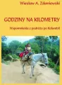 Godziny na kilometry - tantis.pl