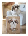 Kawa odkrywa emocje - tantis.pl