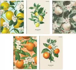 Zeszyt A5/60K kratka Summer  TOP2000