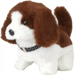 Piesek chodzący na smyczy