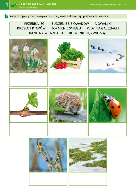 Na tropie pór roku. Wiosna - tantis.pl