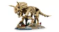 LEGO® Szkielety dinozaurów: triceratops 77985 - tantis.pl