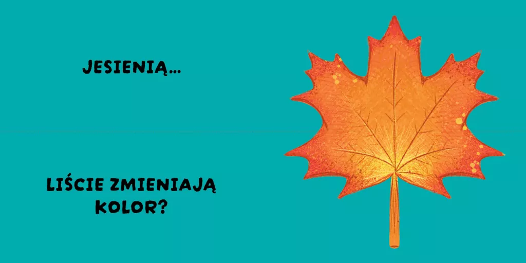 Pory roku. Czy to pasuje? - tantis.pl