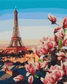 Malowanie po numerach - Paryskie Magnolie 40x50cm - tantis.pl