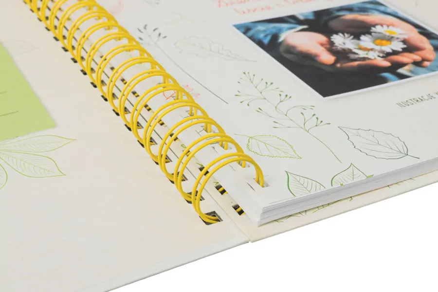 Mój pierwszy zielnik. Zbieram kwiaty, liście i trawy - tantis.pl