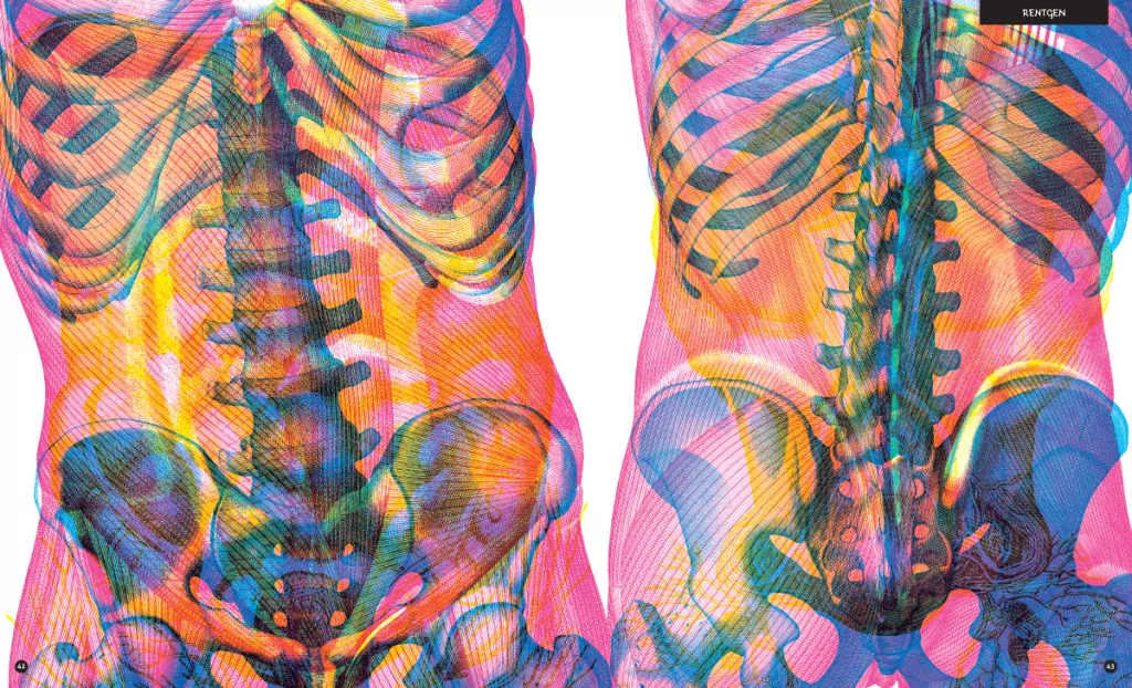 Gabinet anatomii - tantis.pl