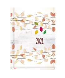 Terminarz 2023 OLA. Michalczyk i Prokop