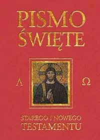 Pismo Święte Starego i Nowego Testamentu. Bordo - tantis.pl