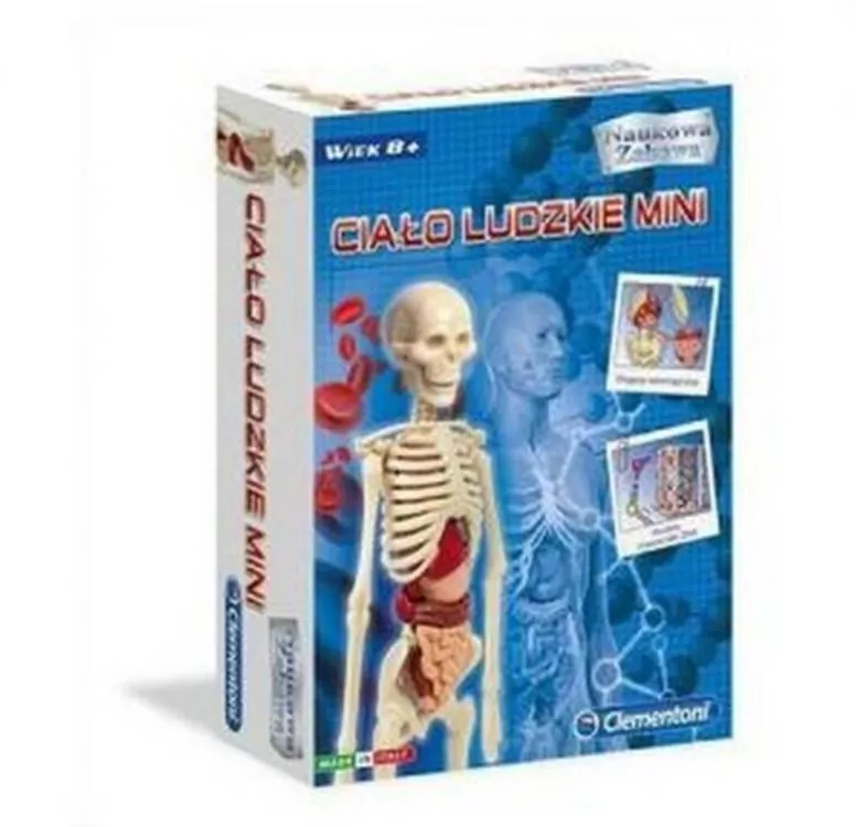 Ciało ludzkie mini. Naukowa zabawa - tantis.pl