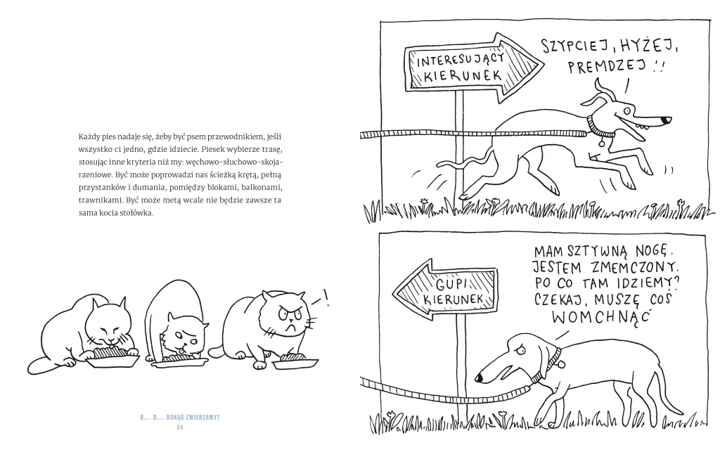 Psie sucharki idą na spacer - tantis.pl