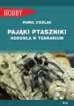 Pająki ptaszniki. Hodowla w terrarium - tantis.pl
