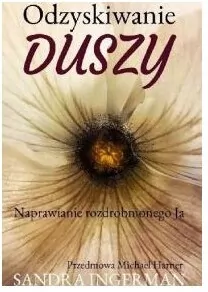 Odzyskiwanie duszy. Naprawianie rozdrobnionego Ja - tantis.pl