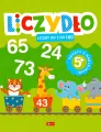 Liczydło. Liczby od 1 do 100 - tantis.pl