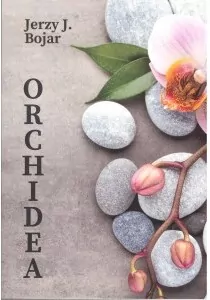 Orchidea - tantis.pl