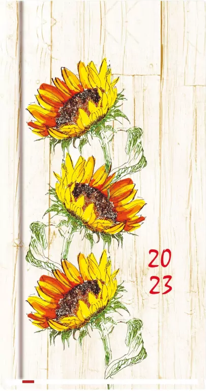 Terminarz 2024. Kieszonkowy - tantis.pl