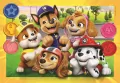 Puzzle 104 Paw Patrol - tantis.pl
