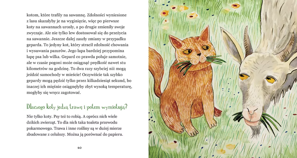 Czy ryby piją wodę? Jeszcze więcej sekretów zwierząt i ludzi - tantis.pl