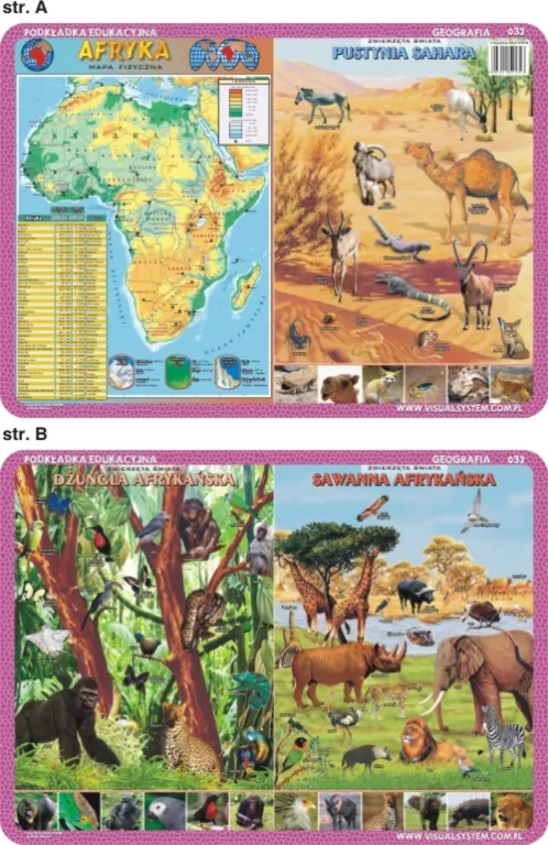 Podkładka edukacyjna. Afryka, pustynia Sahara, dżungla, sawanna - tantis.pl