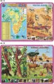 Podkładka edukacyjna. Afryka, pustynia Sahara, dżungla, sawanna - tantis.pl