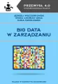 Big data w zarządzaniu - tantis.pl