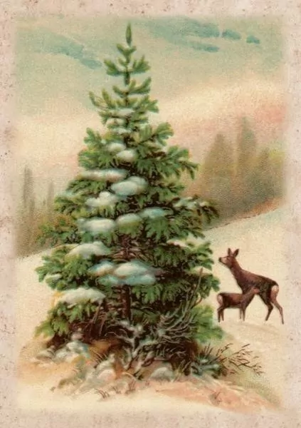 Karnet ST486 B6 + koperta Święta Choinka i sarny - tantis.pl