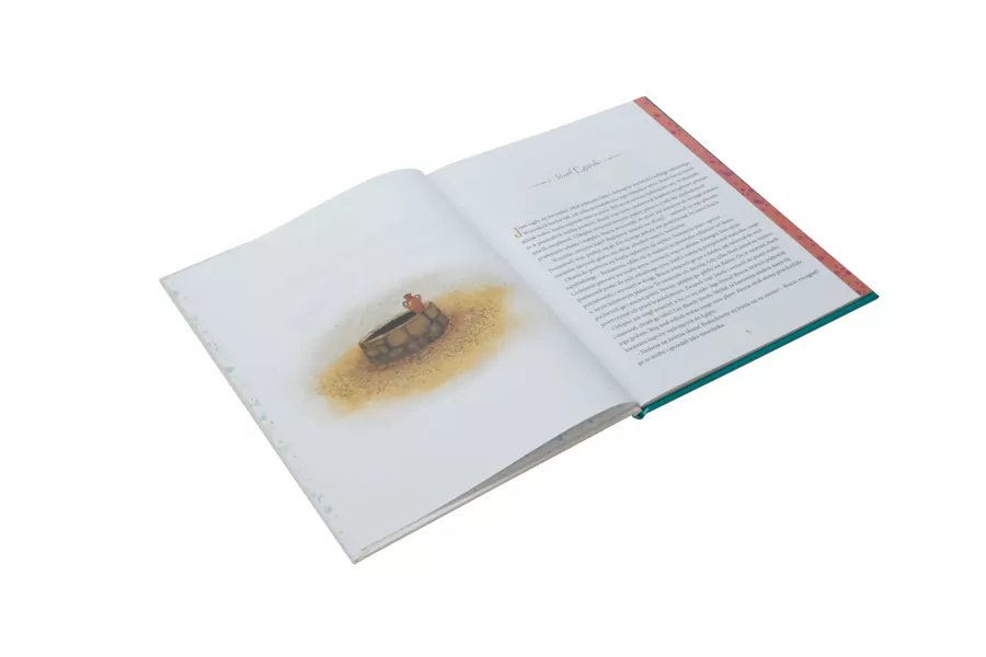 Bohaterowie dla chłopców. Historie z Biblii - tantis.pl