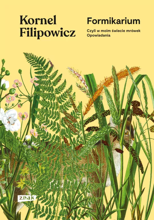 Formikarium. Czyli w moim świecie mrówek. Opowiadania - tantis.pl