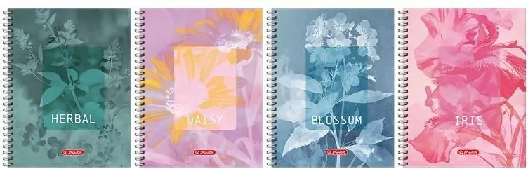 Kołozeszyt A4/80K kratka Blossom  HERLITZ - tantis.pl