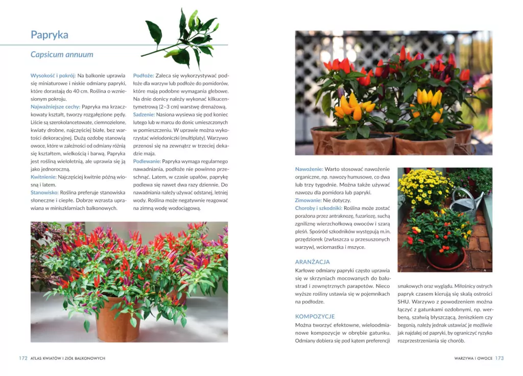 Atlas kwiatów i ziół balkonowych - tantis.pl