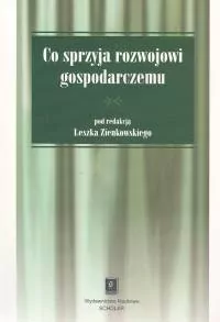 Co sprzyja rozwojowi gospodarczemu - tantis.pl
