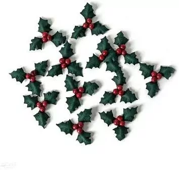 Ostrokrzew papierowy 12szt - tantis.pl