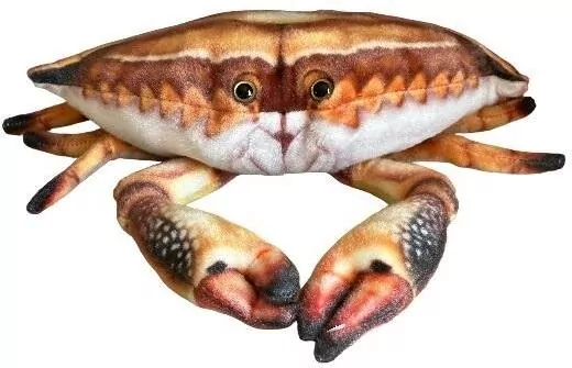 Krab 31cm - tantis.pl