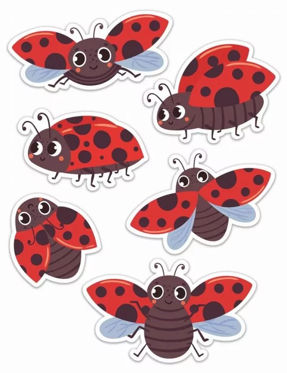 Dekoracje okienne dwustronne. Biedronki - tantis.pl