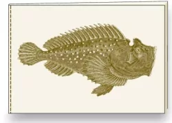 Notatnik ozdobny A5 BR NB S31 A ROSSI