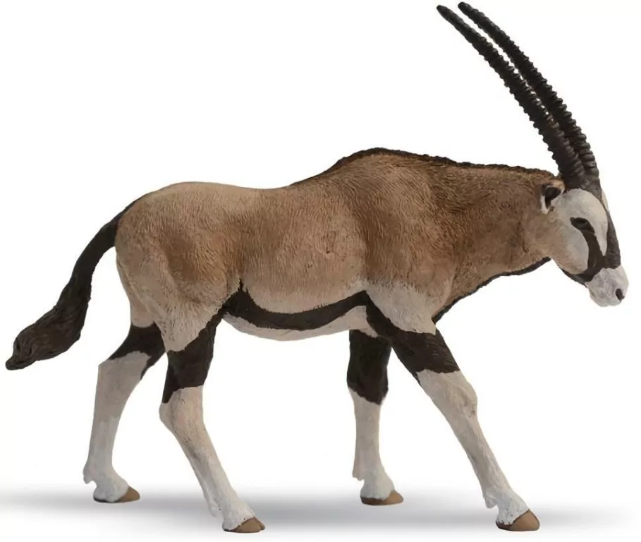 Antylopa Oryx - tantis.pl