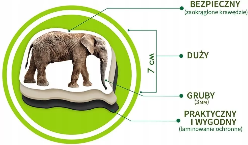 Zestaw magnesów dla dzieci. ZOO - tantis.pl