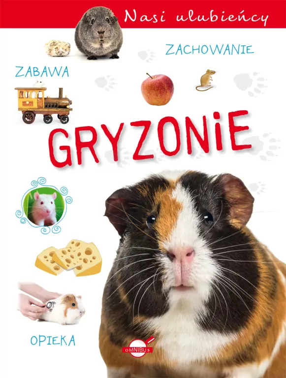 Nasi ulubieńcy. Gryzonie - tantis.pl