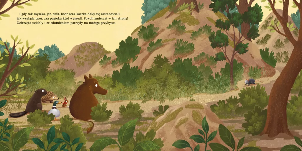 Jak wygląda opos? - tantis.pl