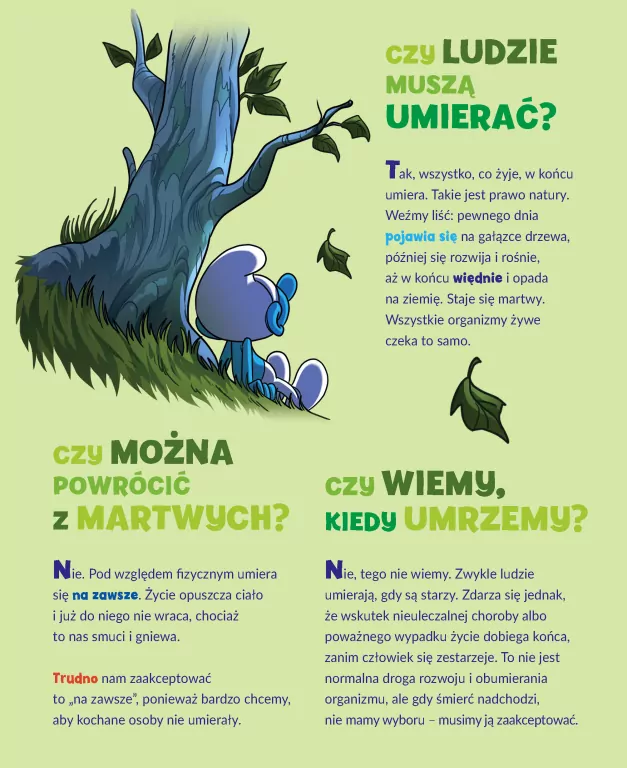 Smerf, który stracił przyjaciela. Smerfy i świat emocji. Tom 9 - tantis.pl