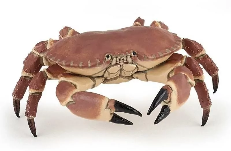 Krab. Figurka - tantis.pl