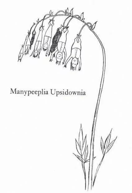Karnet B6 z kopertą Manypeeplia Upsidownia - tantis.pl