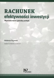Rachunek efektywności inwestycji. Wyzwania teorii i potrzeby praktyki