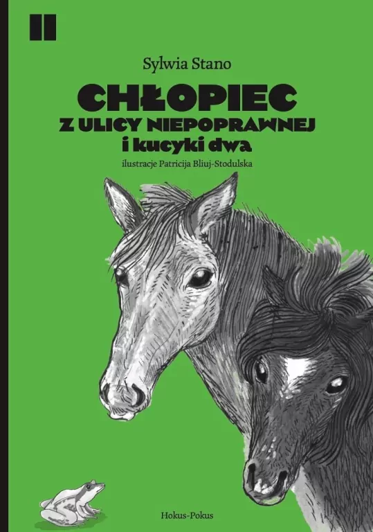 Chłopiec z ulicy Niepoprawnej i kucyki dwa - tantis.pl