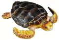 Collecta. Żółw Karetta - tantis.pl