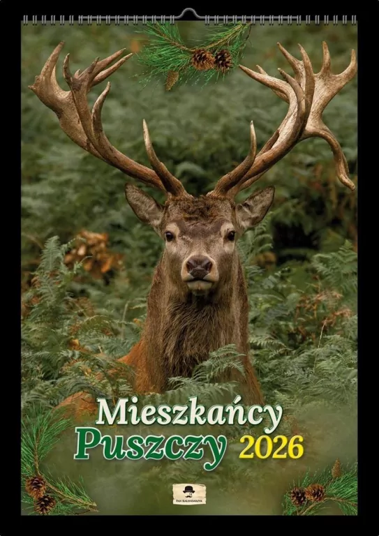 Kalendarz 2026 A3 ścienny mieszkańcy puszczy - tantis.pl