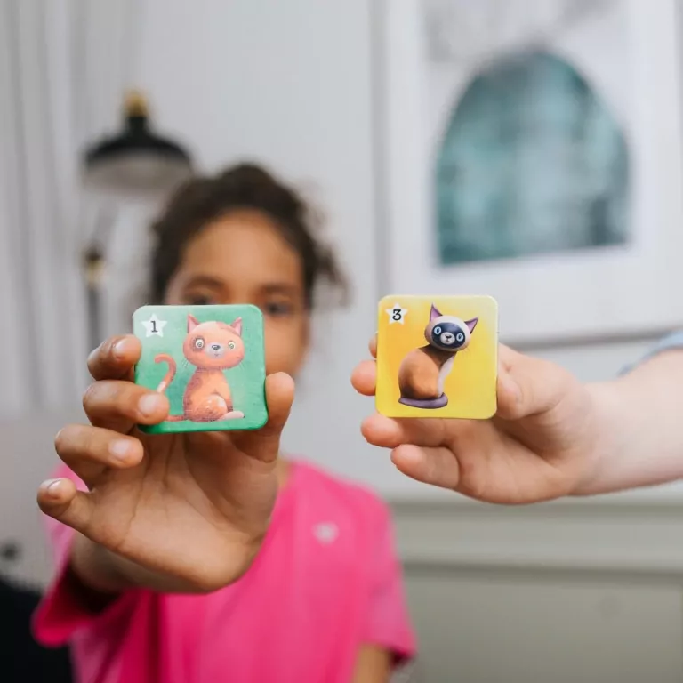 Gra Kotki - tantis.pl