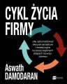 Cykl życia firmy. Jak optymalizować decyzje zarządcze i inwestycyjne na poszczególnych etapach rozwoju biznesu - tantis.pl