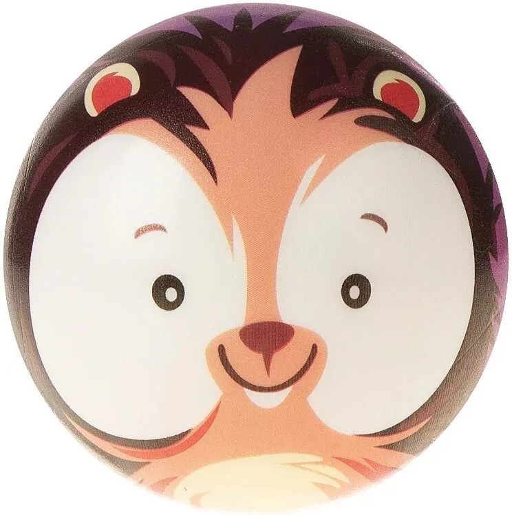 Piłka Zmyłka. Leśna zabawa. Jeżyk - tantis.pl