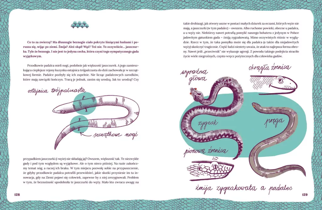 Zwierzęta miast, czyli 22 portrety naszych nieudomowionych sąsiadów - tantis.pl