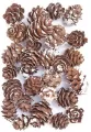 Mini szyszki bielone 25g - tantis.pl